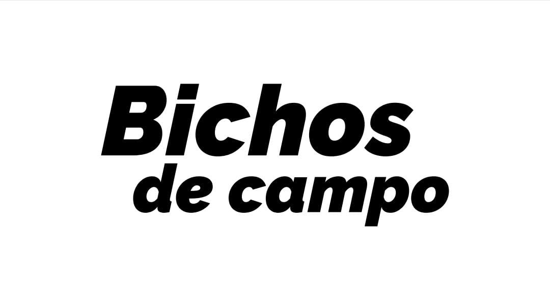 Bicos de Campo